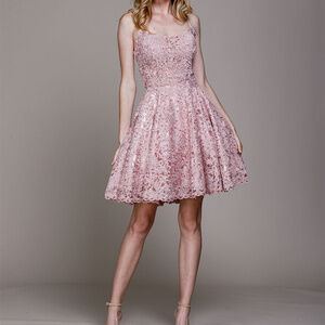 Blush Sweetheart Cocktail Short Dress